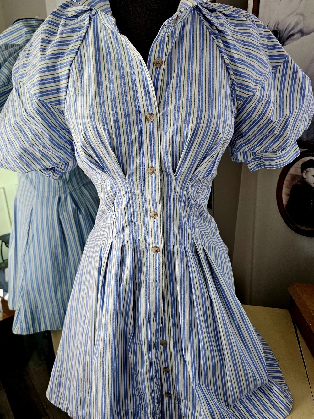 Anthropologie Blue and White Striped Button Mini Dress